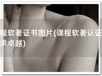 课程软著证书图片(课程软著认证，追求卓越)