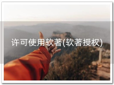 许可使用软著(软著授权)