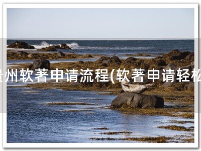 贵州软著申请流程(软著申请轻松)