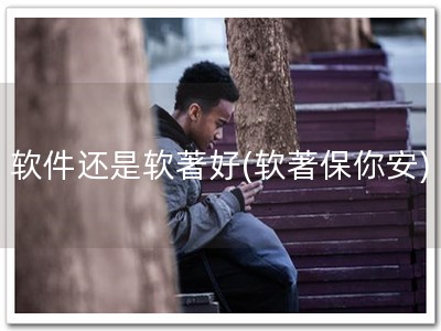 软件还是软著好(软著保你安)