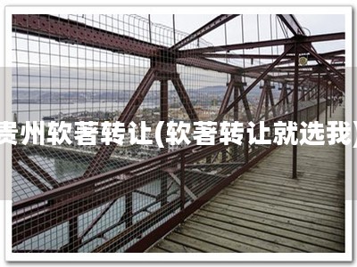 贵州软著转让(软著转让就选我)