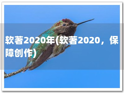 软著2020年(软著2020，保障创作)