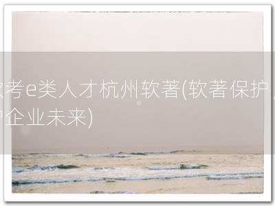 软考e类人才杭州软著(软著保护，护企业未来)