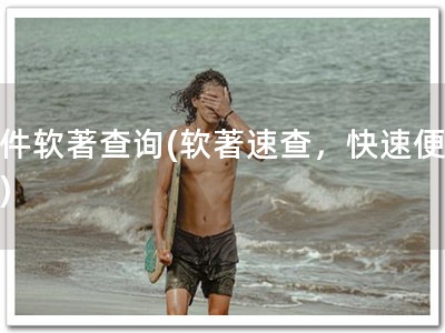 软件软著查询(软著速查，快速便捷！)