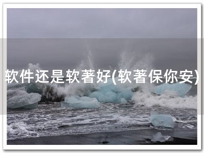 软件还是软著好(软著保你安)