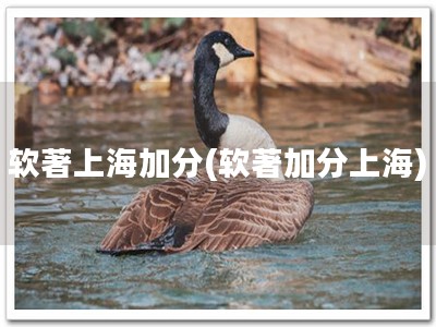 软著上海加分(软著加分上海)