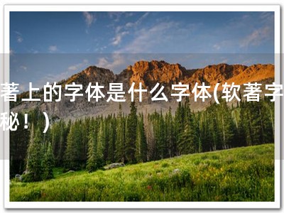 软著上的字体是什么字体(软著字体揭秘！)
