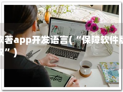 软著app开发语言(“保障软件版权”)