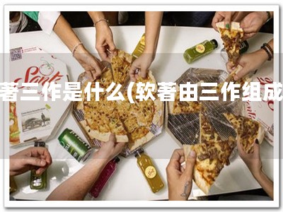 软著三作是什么(软著由三作组成！)