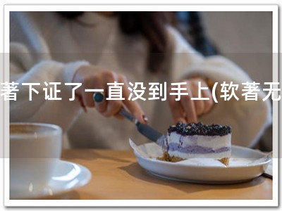 软著下证了一直没到手上(软著无忧)