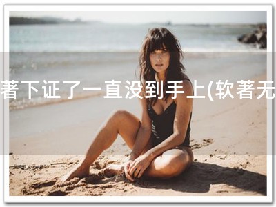 软著下证了一直没到手上(软著无忧)