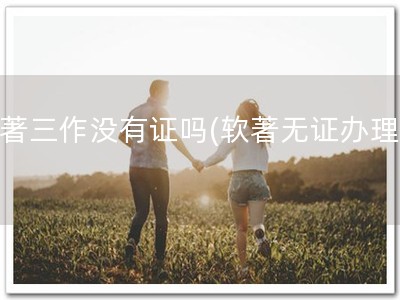 软著三作没有证吗(软著无证办理！)