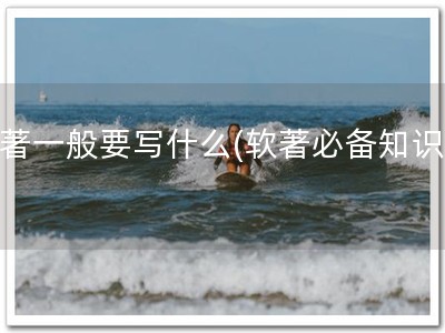 软著一般要写什么(软著必备知识！)
