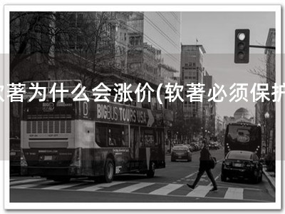 软著为什么会涨价(软著必须保护!)