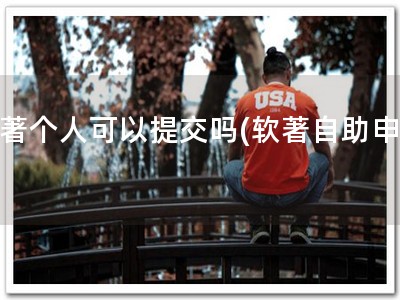 软著个人可以提交吗(软著自助申请)