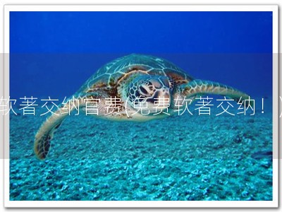 软著交纳官费(免费软著交纳！)