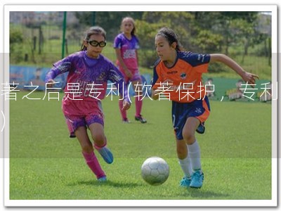 软著之后是专利(软著保护，专利铸就)