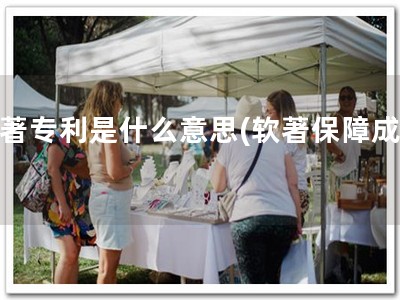 软著专利是什么意思(软著保障成功)