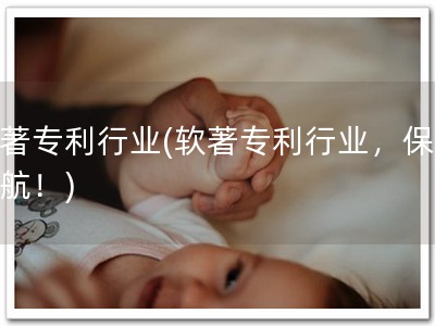 软著专利行业(软著专利行业，保驾护航！)