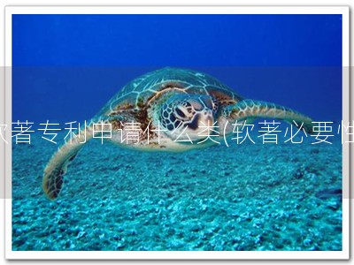 软著专利申请什么类(软著必要性)