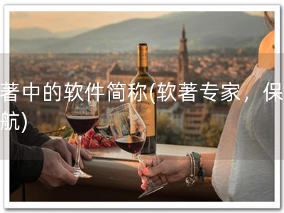 软著中的软件简称(软著专家，保驾护航)