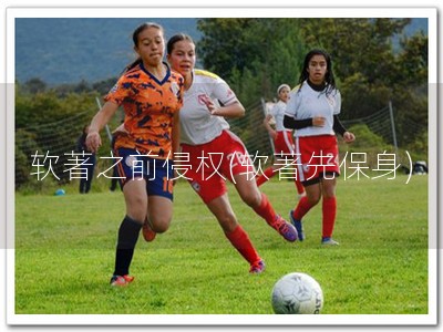 软著之前侵权(软著先保身)