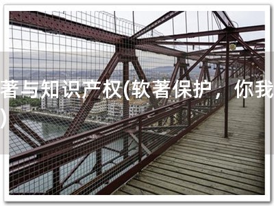软著与知识产权(软著保护，你我共享)