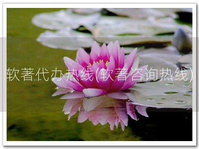 软著代办热线(软著咨询热线)