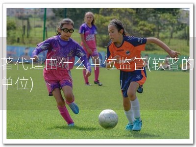 软著代理由什么单位监管(软著的监管单位)