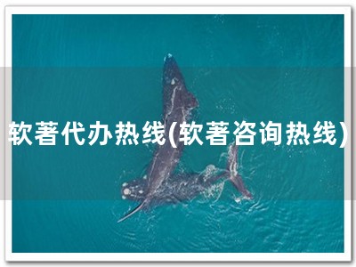 软著代办热线(软著咨询热线)