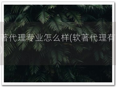 软著代理专业怎么样(软著代理有保障)