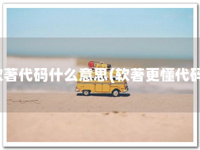 软著代码什么意思(软著更懂代码)