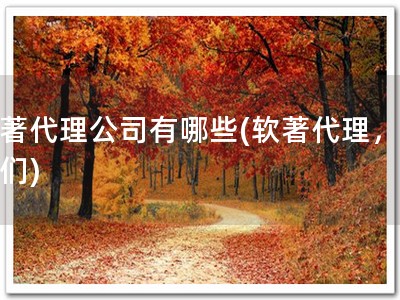 软著代理公司有哪些(软著代理，选我们)