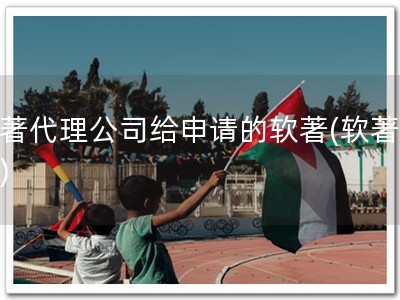 软著代理公司给申请的软著(软著快递)