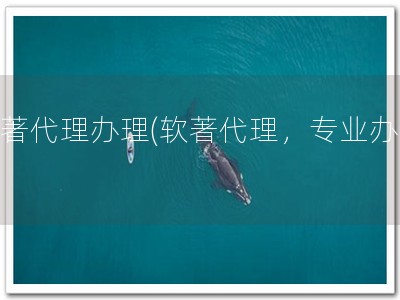 软著代理办理(软著代理，专业办理)