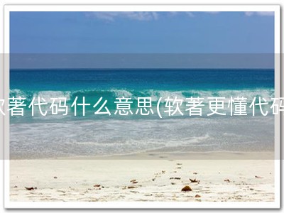 软著代码什么意思(软著更懂代码)