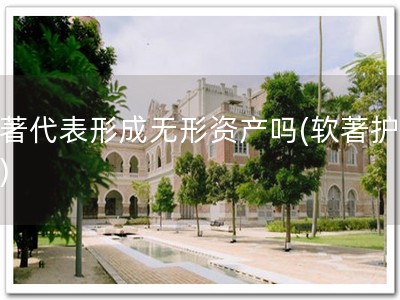 软著代表形成无形资产吗(软著护品行)