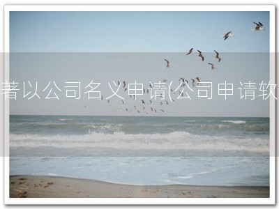 软著以公司名义申请(公司申请软著)