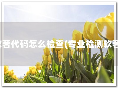 软著代码怎么检查(专业检测软著)