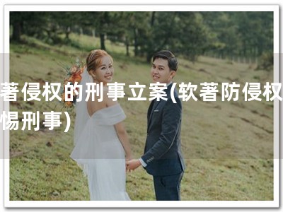 软著侵权的刑事立案(软著防侵权，警惕刑事)