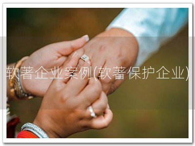软著企业案例(软著保护企业)
