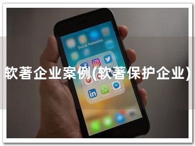 软著企业案例(软著保护企业)