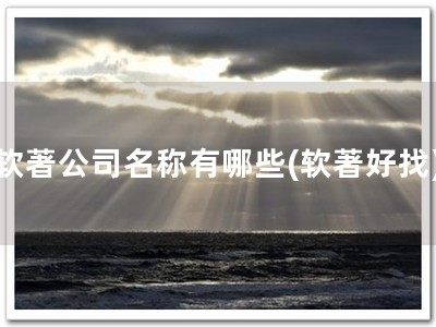 软著公司名称有哪些(软著好找)