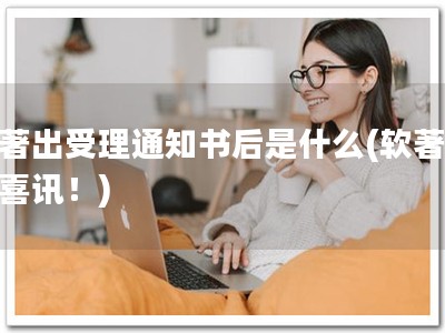 软著出受理通知书后是什么(软著受理喜讯！)
