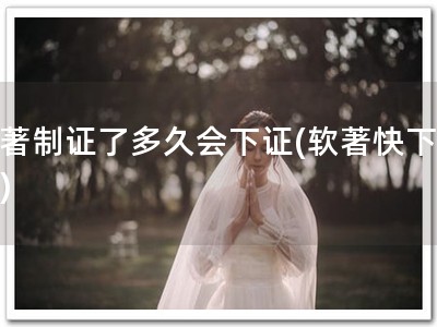 软著制证了多久会下证(软著快下证！)