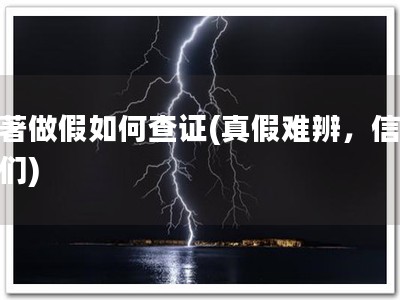 软著做假如何查证(真假难辨，信任我们)