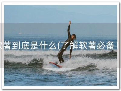 软著到底是什么(了解软著必备！)