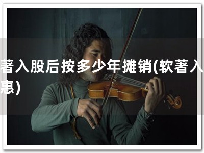 软著入股后按多少年摊销(软著入股优惠)