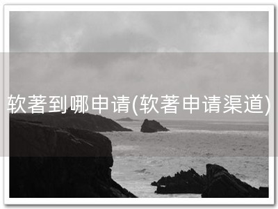 软著到哪申请(软著申请渠道)