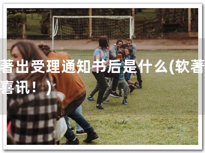 软著出受理通知书后是什么(软著受理喜讯！)